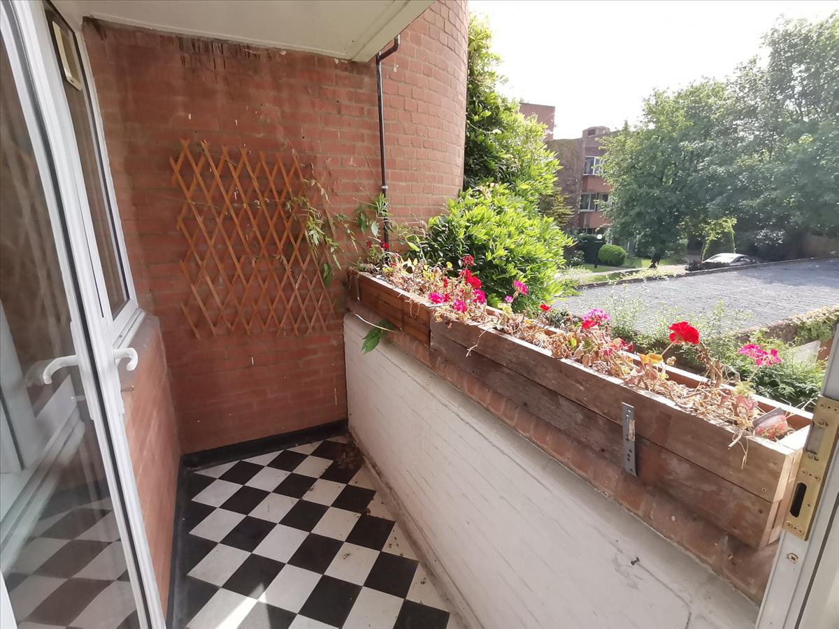Property Image c81d060d-8880-4b6a-8ff0-9193b2f670ef