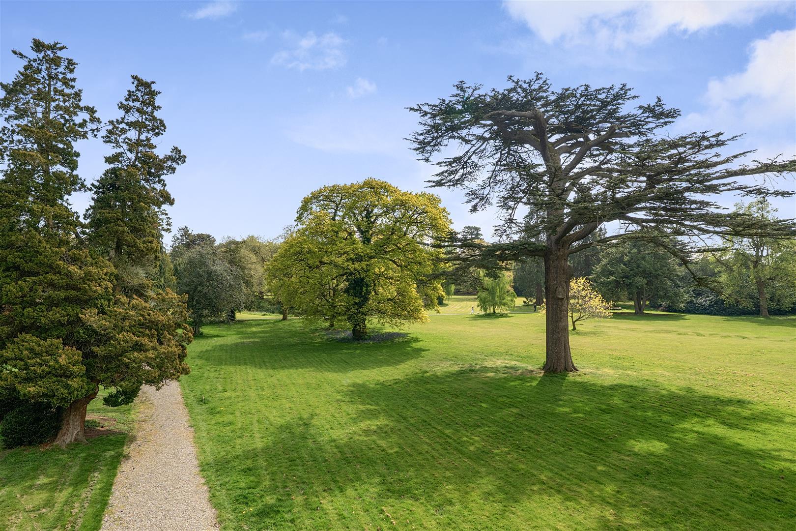 Property Image c85eae5c-9a9a-44e8-af88-ce8f6cc6ac19