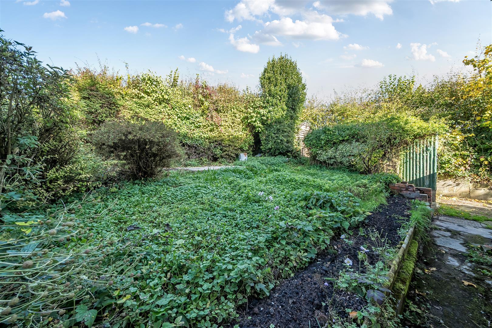 Property Image c88c00ed-5350-431f-90bf-ace402499884