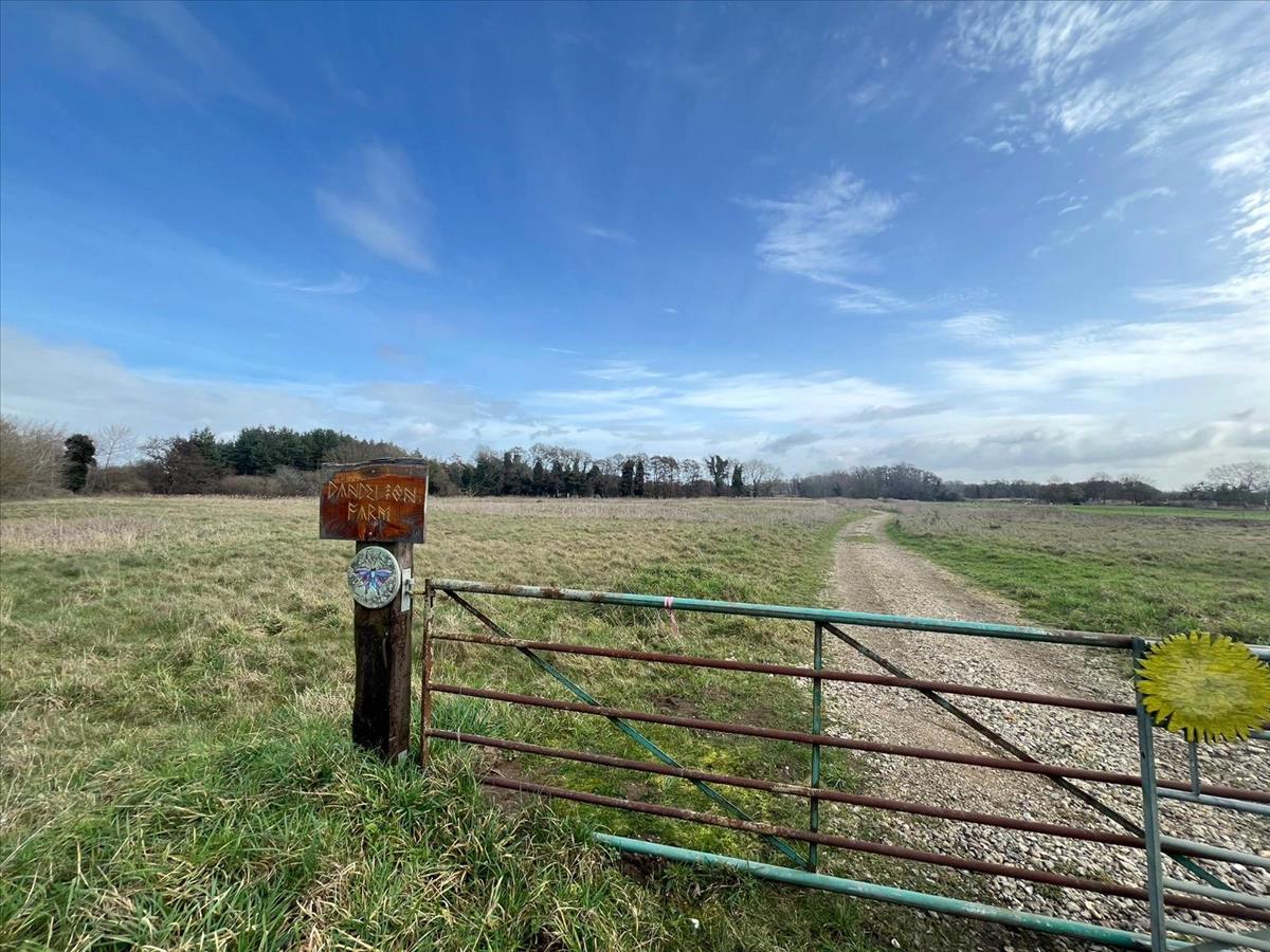 Property Image c88ffdd3-da58-4c32-965d-8cd25cd5617e