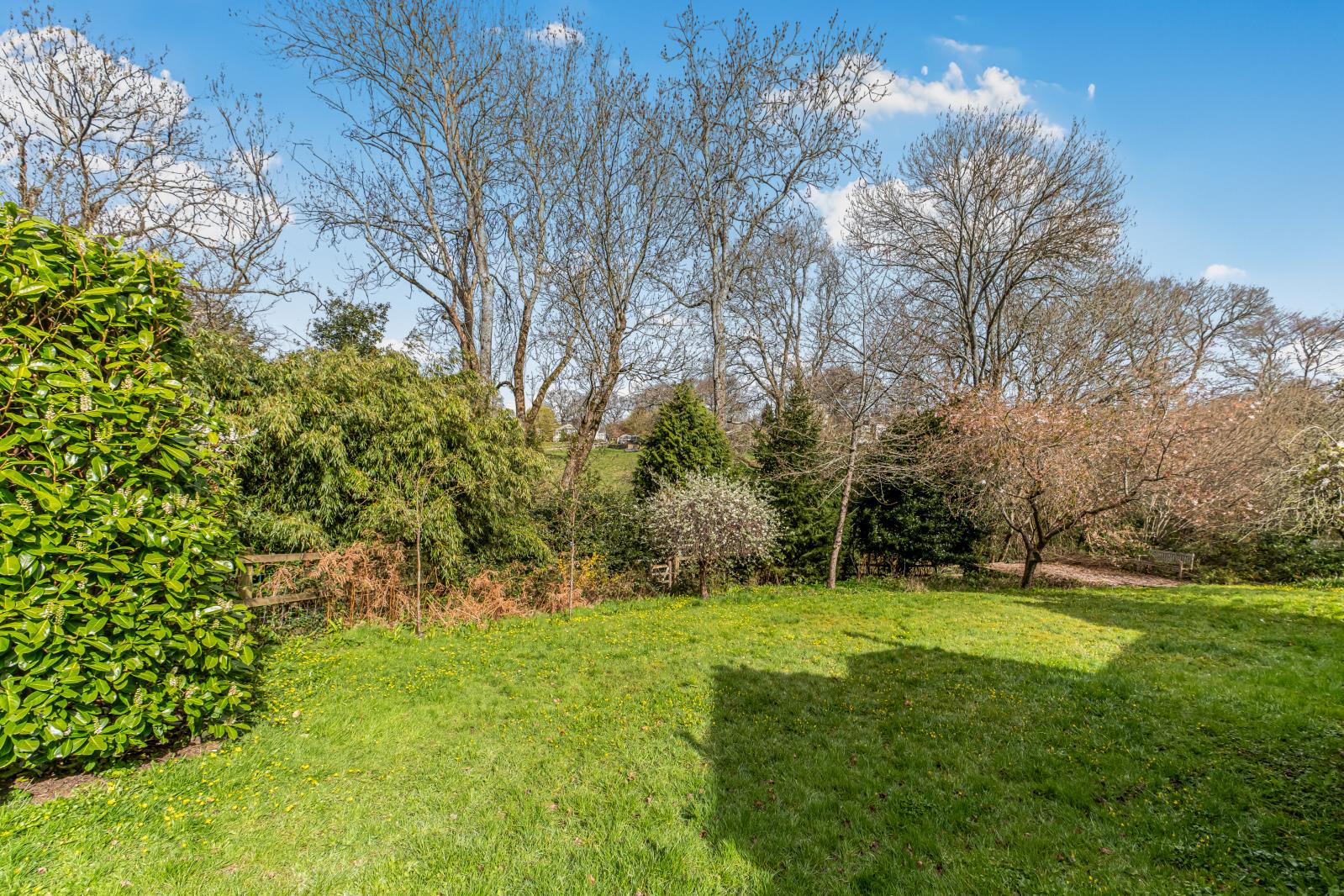Property Image c89d31ed-2b75-4987-bdcd-75ff38c39870