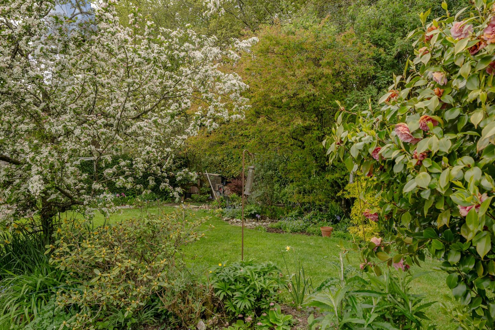 Property Image c8ae70ae-c334-49c0-854b-be235c6518fd