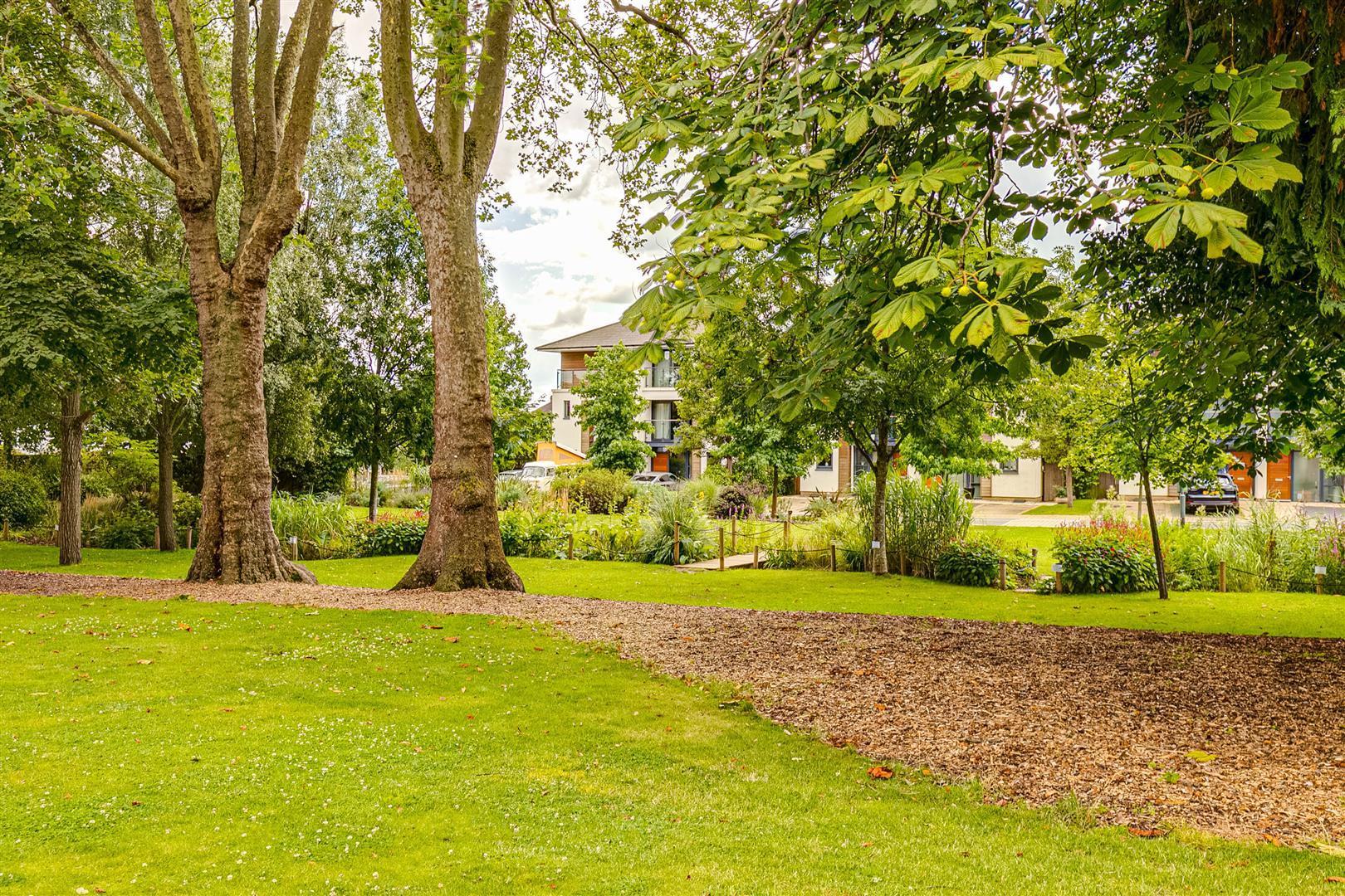 Property Image c8c3db95-6267-4042-abfc-0de9d72287bb