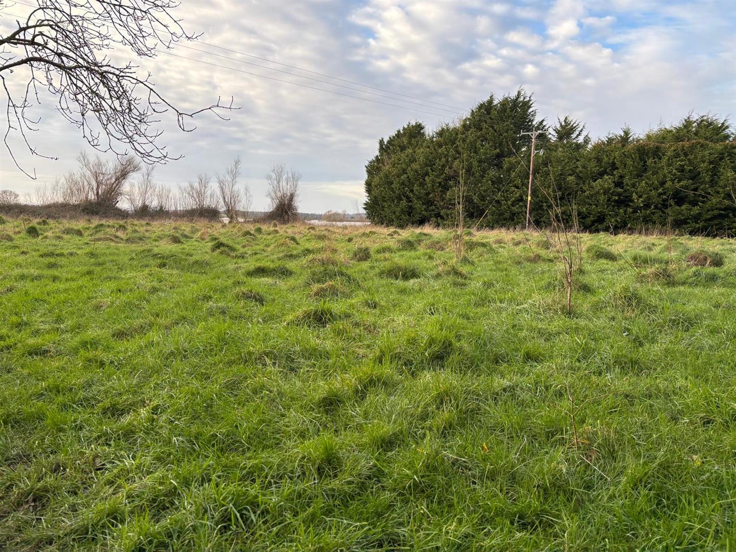 Property Image c8eac78e-8e47-485f-ba56-ff12b054f144