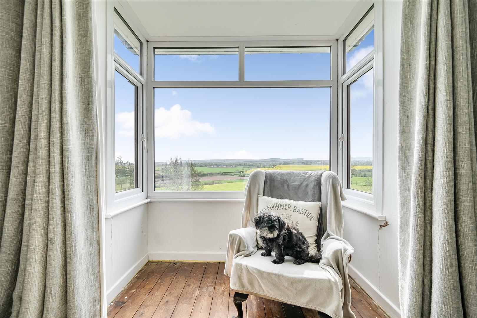 Property Image c8fbba32-1dd3-44a6-b461-105a874c7c71