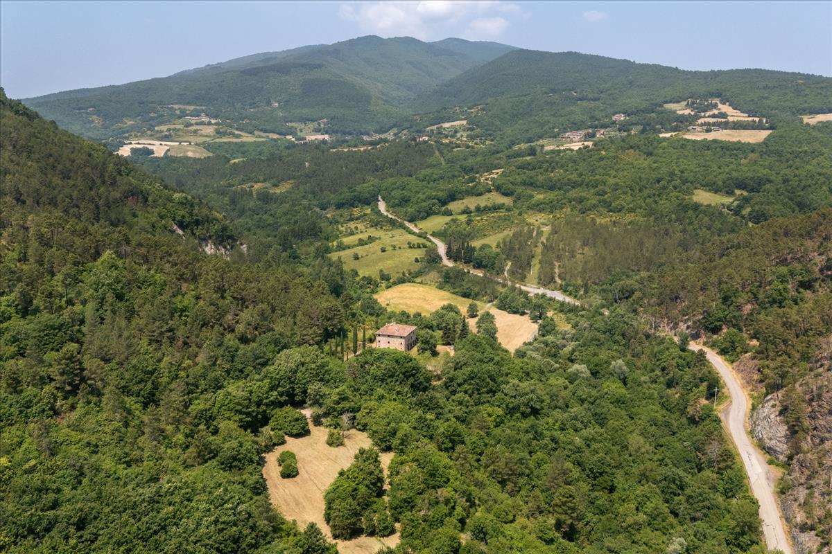 Property Image c8fd75ec-8564-432b-8a17-7c0605e4ea16
