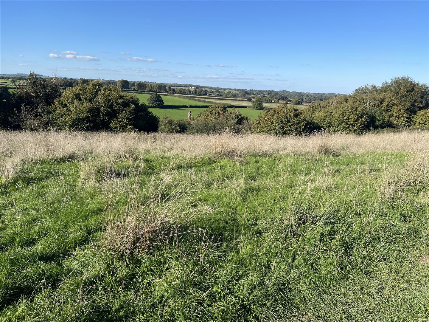 Property Image c92c275c-f522-4ee0-80a9-0823b81d7d15