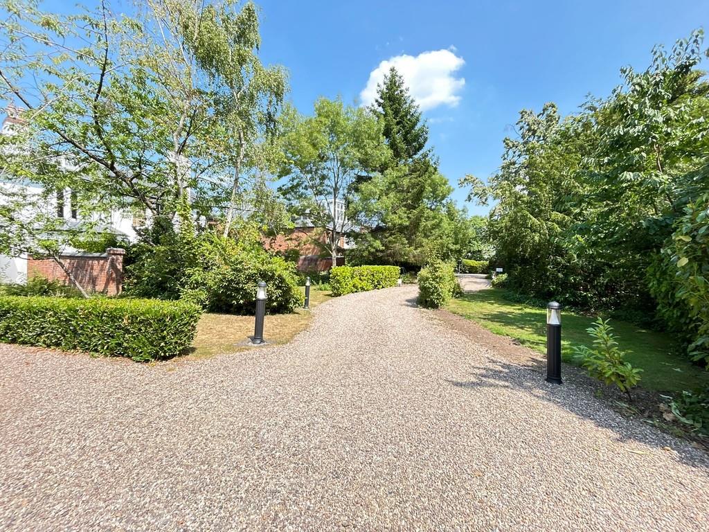 Property Image c95055c0-7e89-45cf-b414-56cf3f0e3aa1