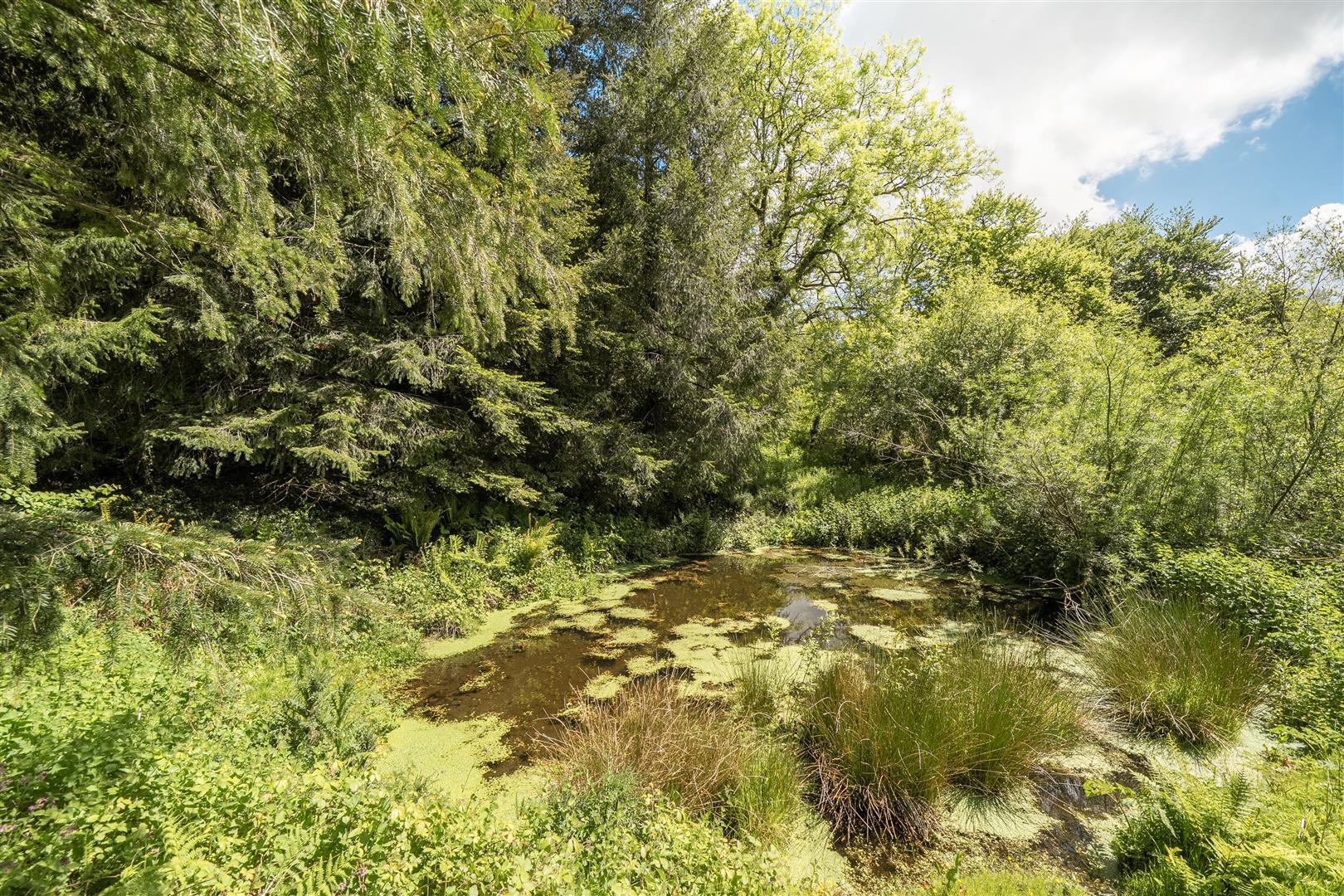 Property Image c9549325-3aaf-4ca0-a231-b2255c77bb74