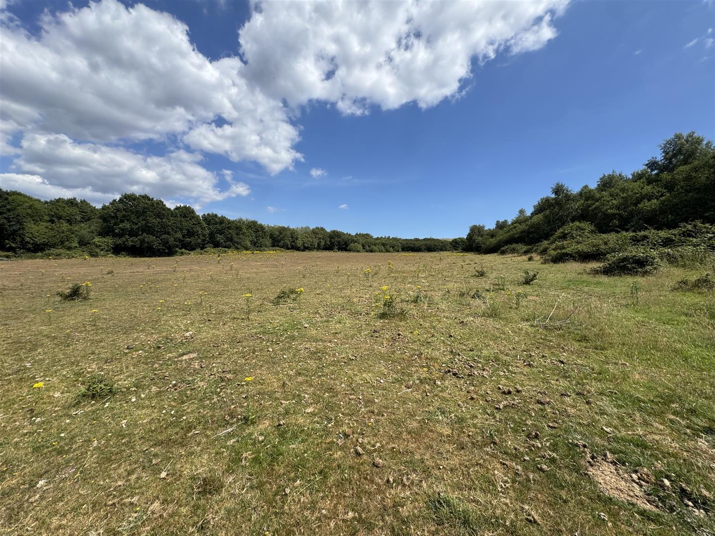Property Image c97094ed-2351-4597-84b0-a8d086293d48