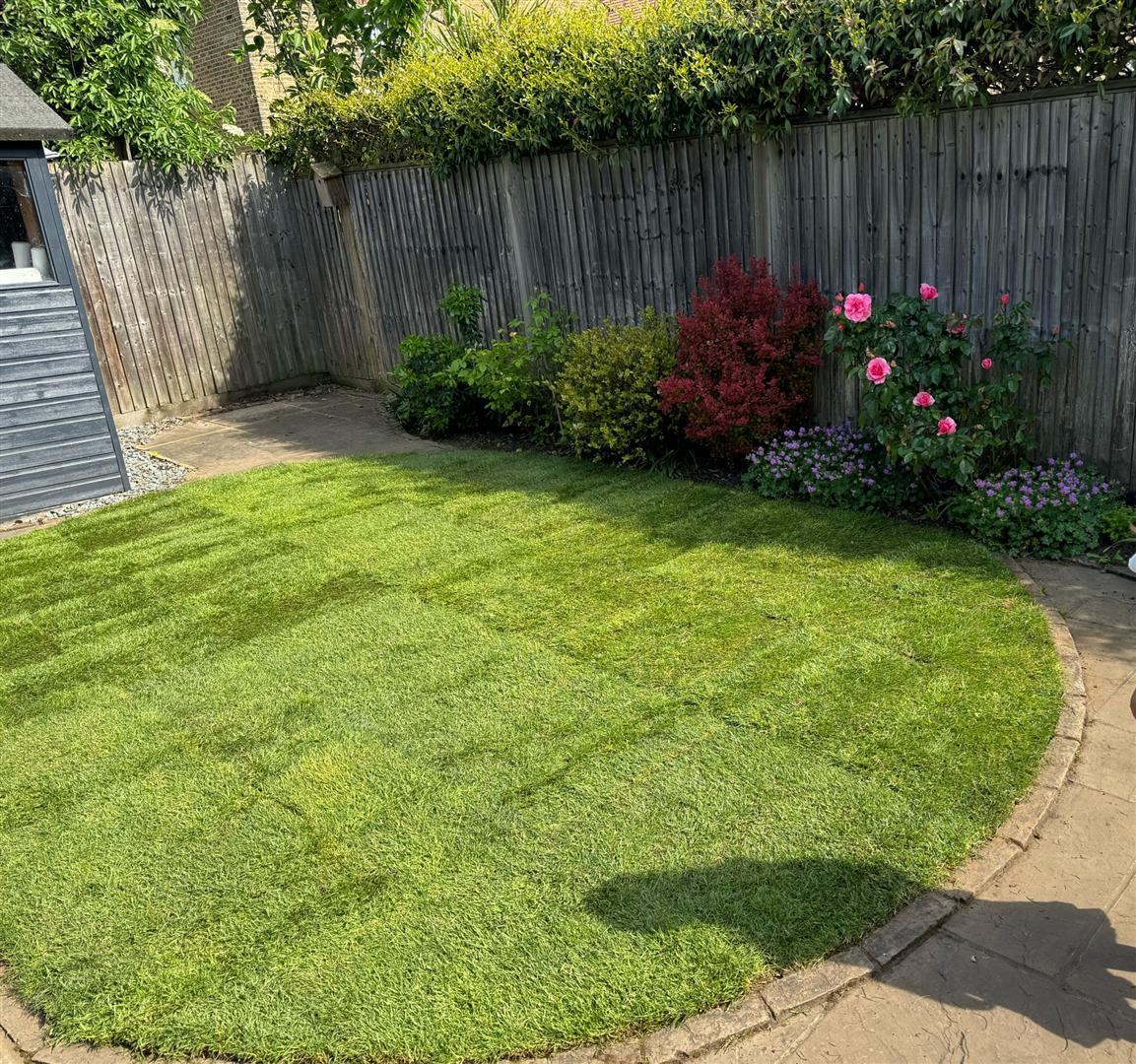 Image 20