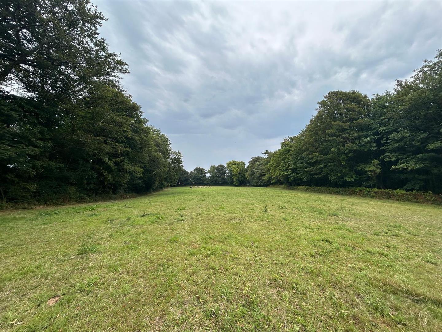 Property Image c97f681e-1ea0-416a-9260-481de5458ec3