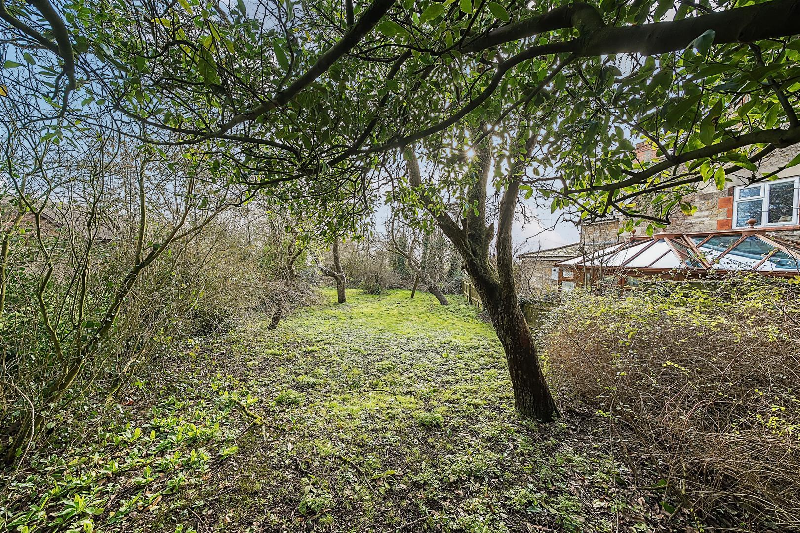 Property Image c983bcf0-0a09-41a9-a46d-8ebe2eb3fb8a