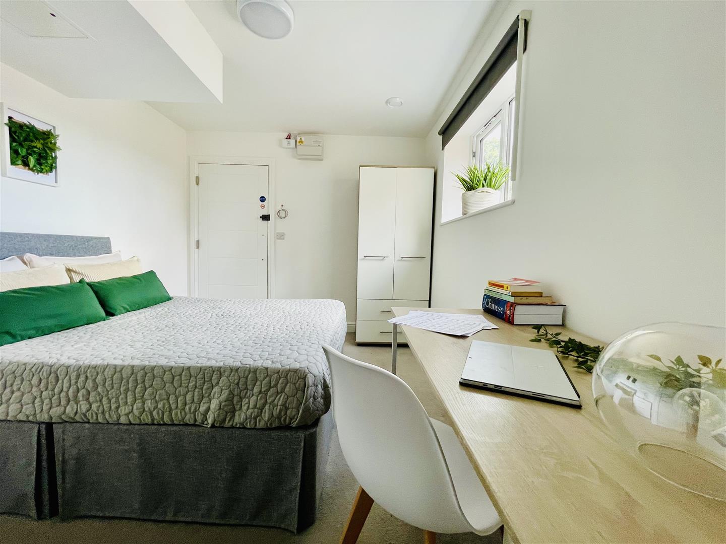 Property Image c98ea6cf-6bad-4603-bc44-7a009d642f65