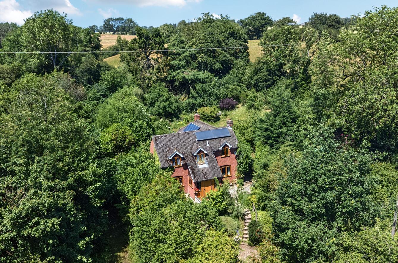 Property Image c9ba320e-7836-4e99-a595-6c1725e1358e