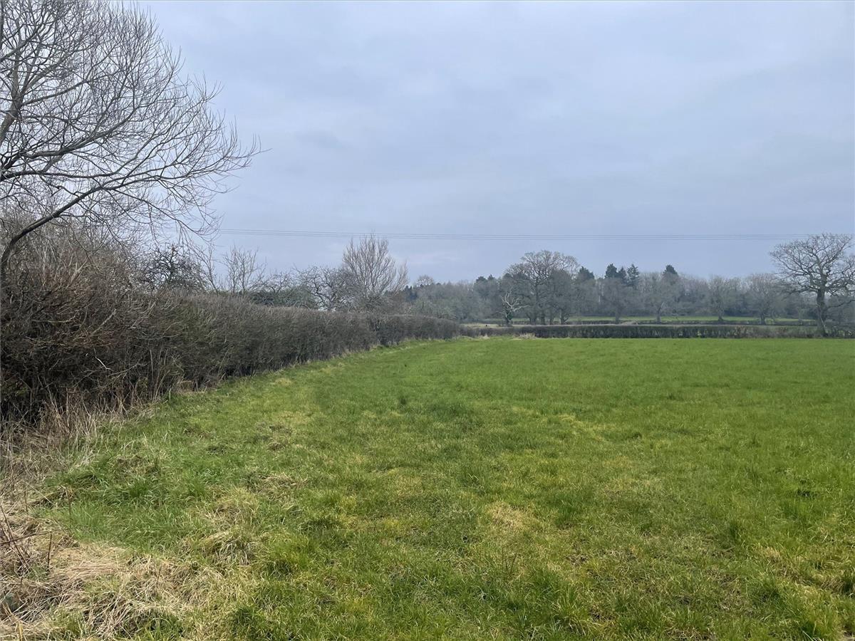Property Image c9f13d15-a98f-4513-9458-d757e1dcdbea