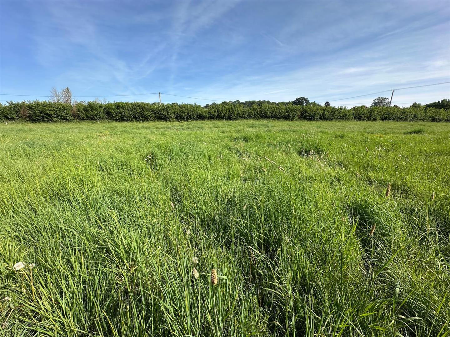 Property Image ca414beb-63de-4358-bc73-a9757f7f009c