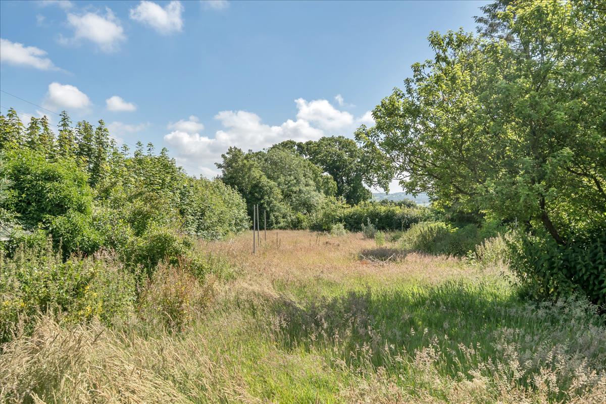 Property Image ca72cbe8-10a9-432a-9cb0-f7524ef7a7b1