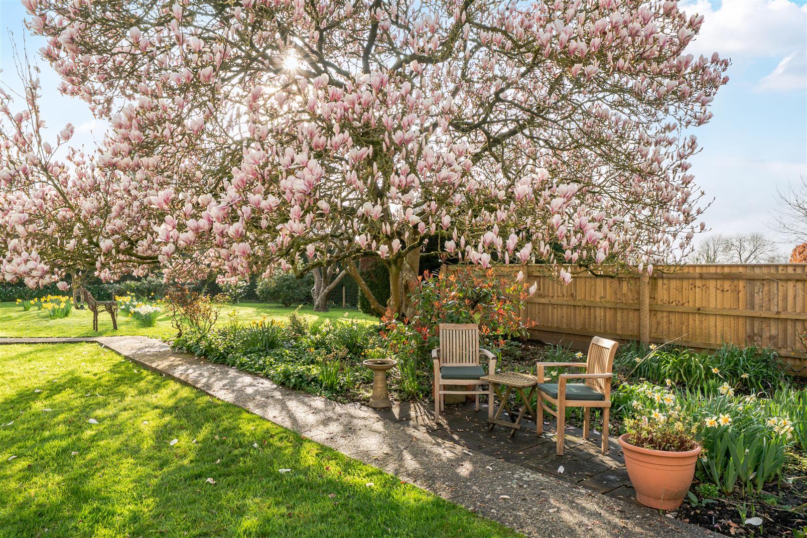Property Image caca8551-4e31-4b8e-a0a3-5fa461a91844