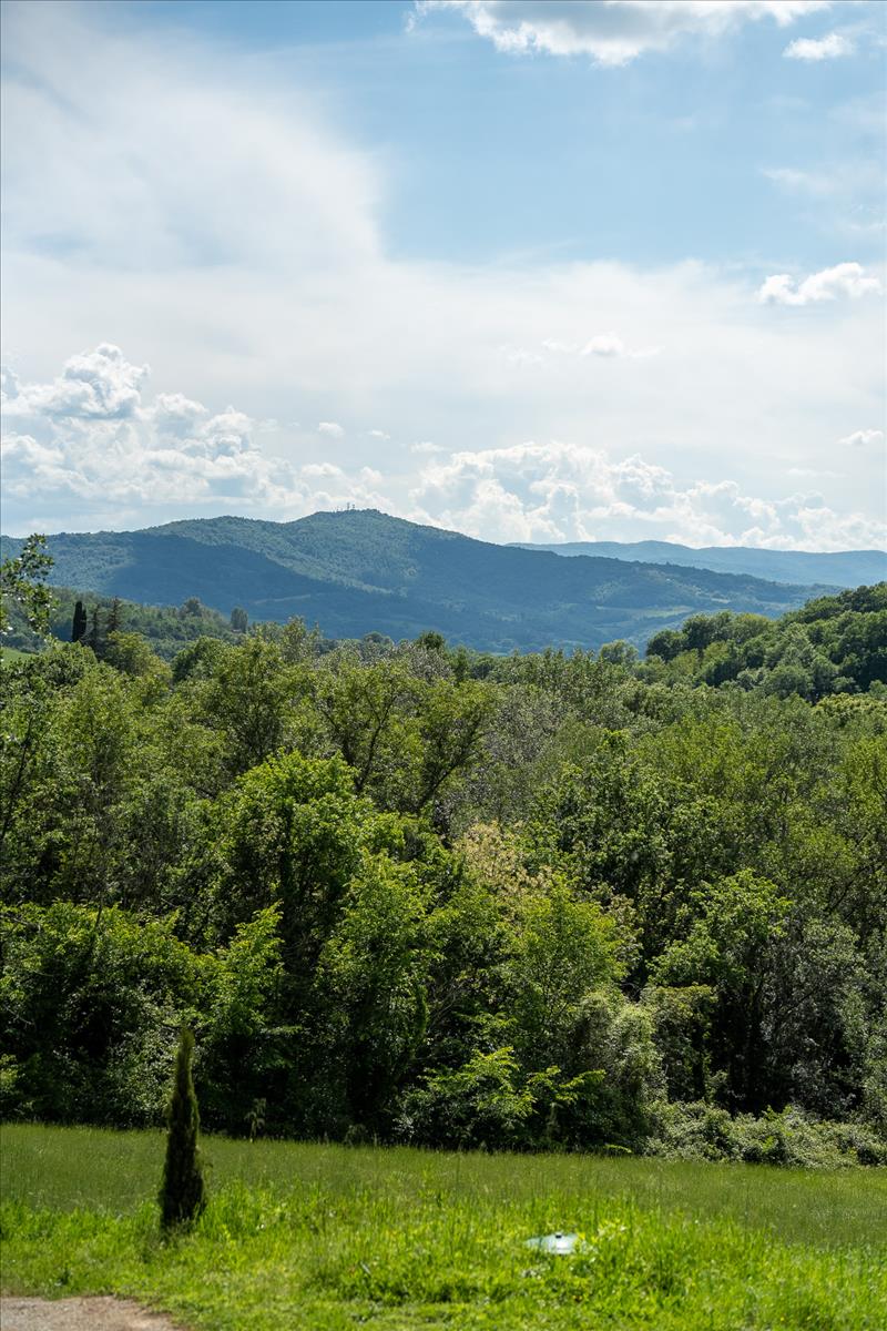 Property Image cae98899-0b1c-4e08-b2f2-cffca81c7bb4