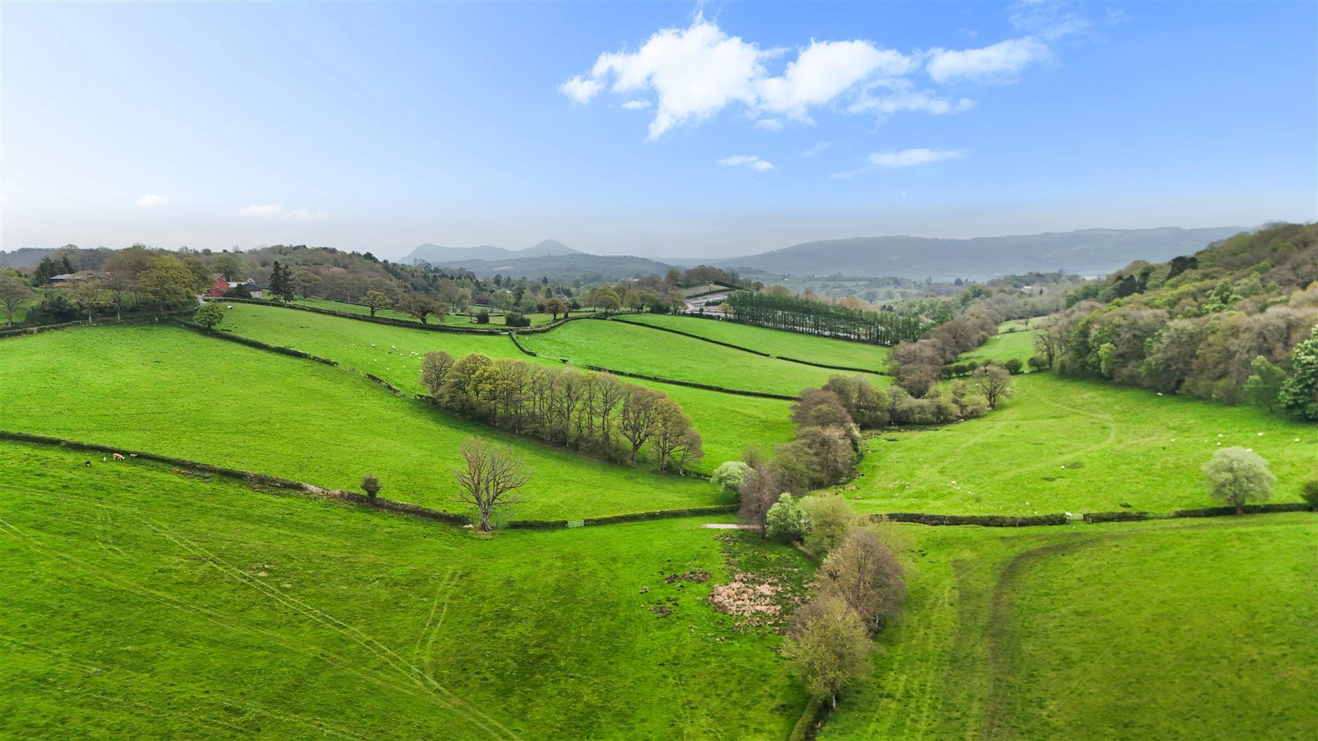 Property Image caff973d-9a9e-4e0b-81fb-5a0664134562