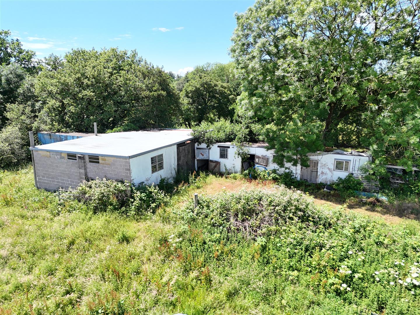 Property Image cb1a6697-ddeb-447a-b7ba-19f3e908a6c3