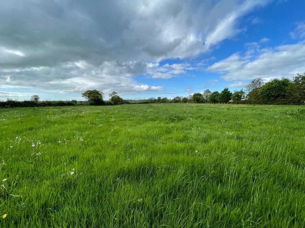 Property Image cb300d05-3936-4de9-9f23-df152b5e8c18