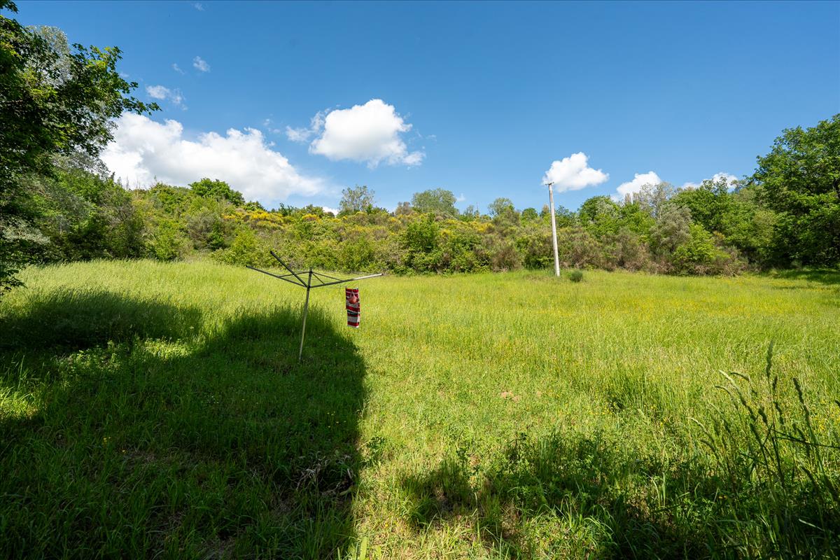 Property Image cb759462-f3f6-46c8-8af9-6438a845a6d0