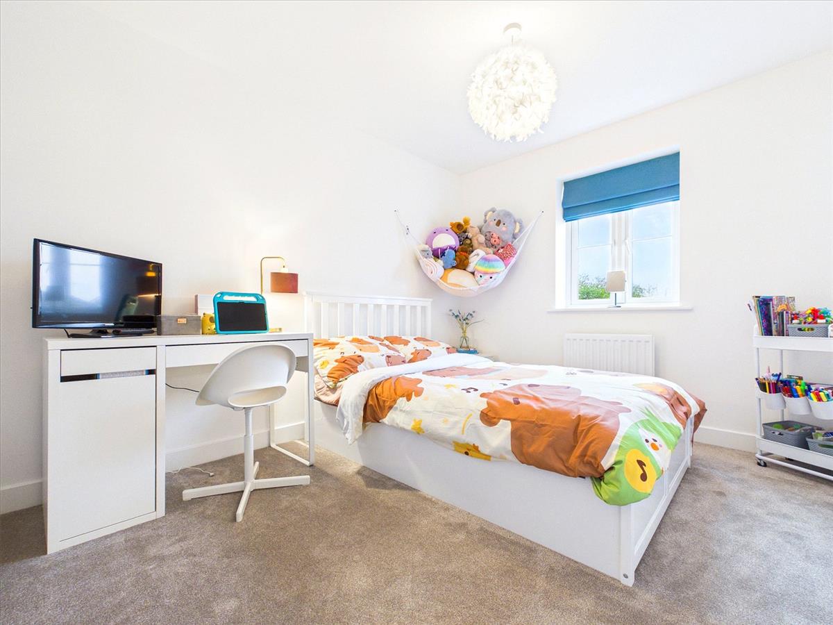 Property Image cbd809f4-1b0d-4fd5-bafa-15144521d281