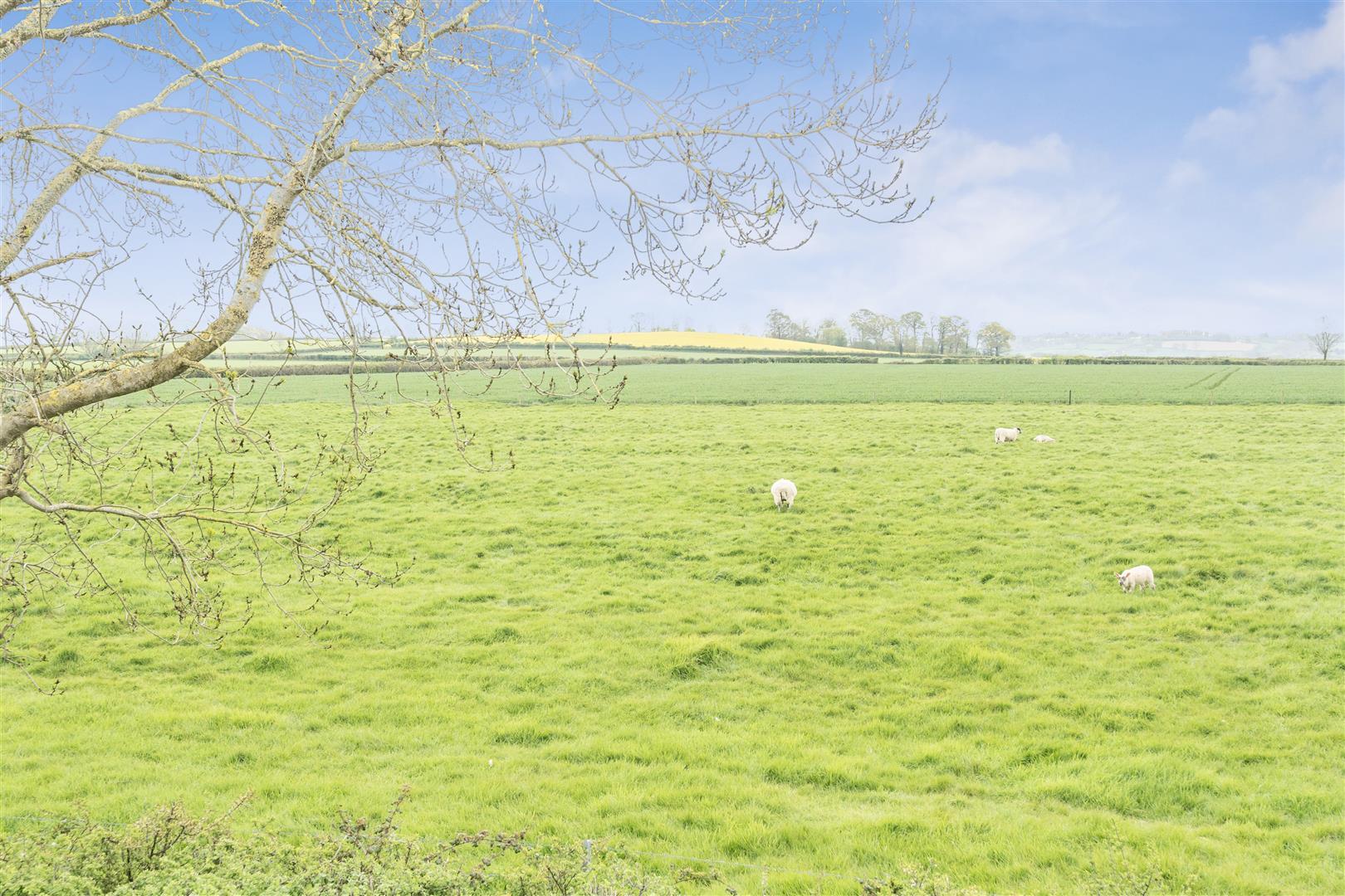 Property Image cbfebc9a-0a4e-4b39-a4e6-38a040cc9daa