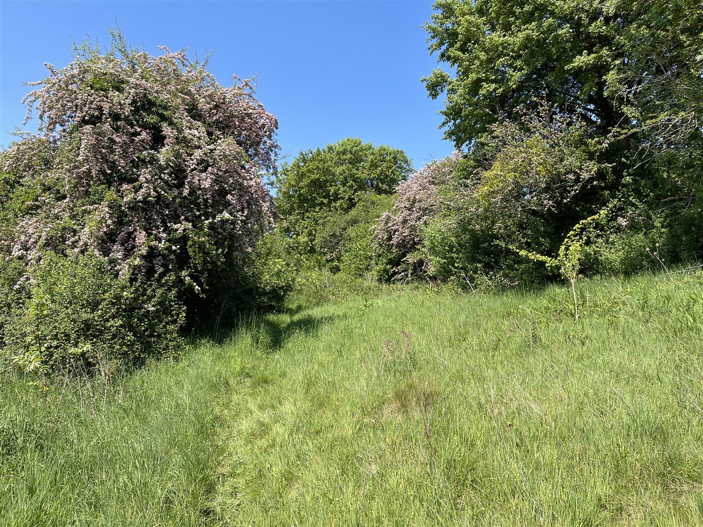 Property Image cc1a5a1a-a3e8-47ca-adfa-ccd0f61006fb