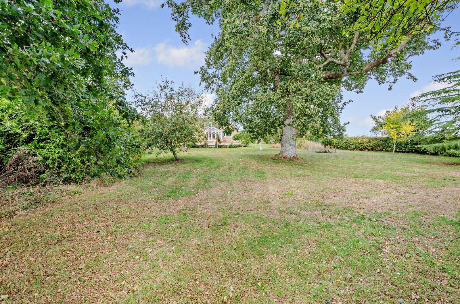 Property Image cca2ef13-56d9-41f2-bbb1-4bac1bcb0c9a