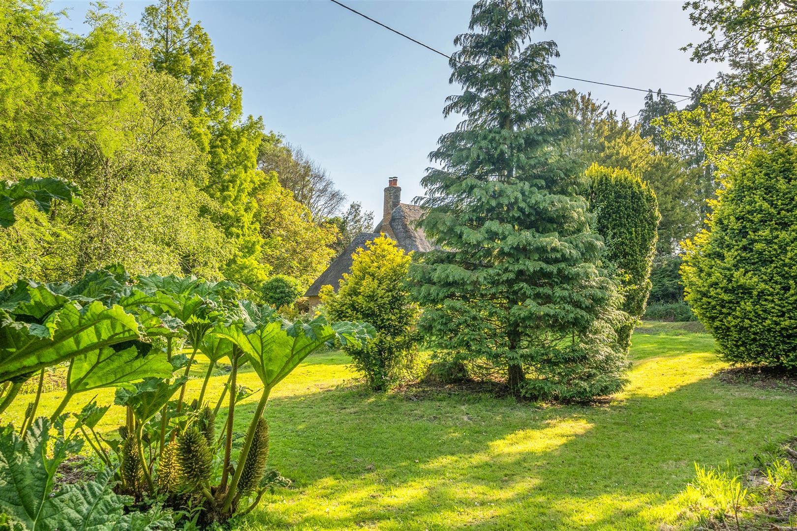 Property Image ccb507b9-3c52-4a2d-8bf2-be3447f0c8f6