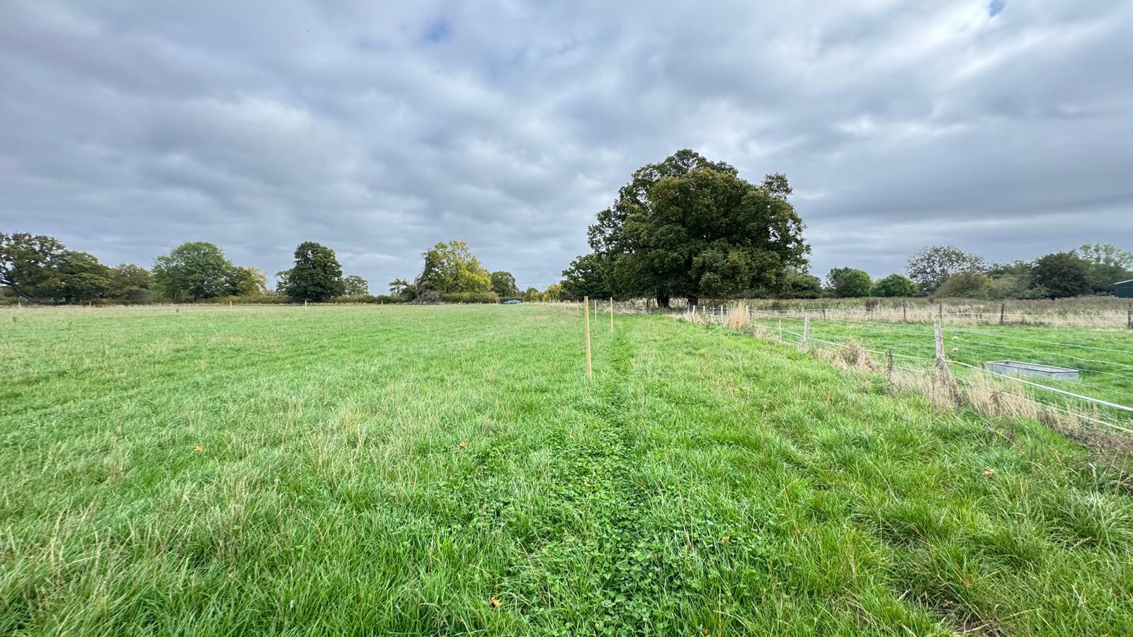 Property Image cd269c35-2716-47dc-9cf5-e8a449feeb69