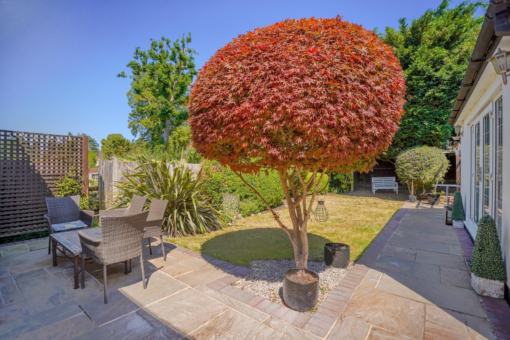 Property Image cd932ee3-e15d-41b5-a750-acd62eba8544