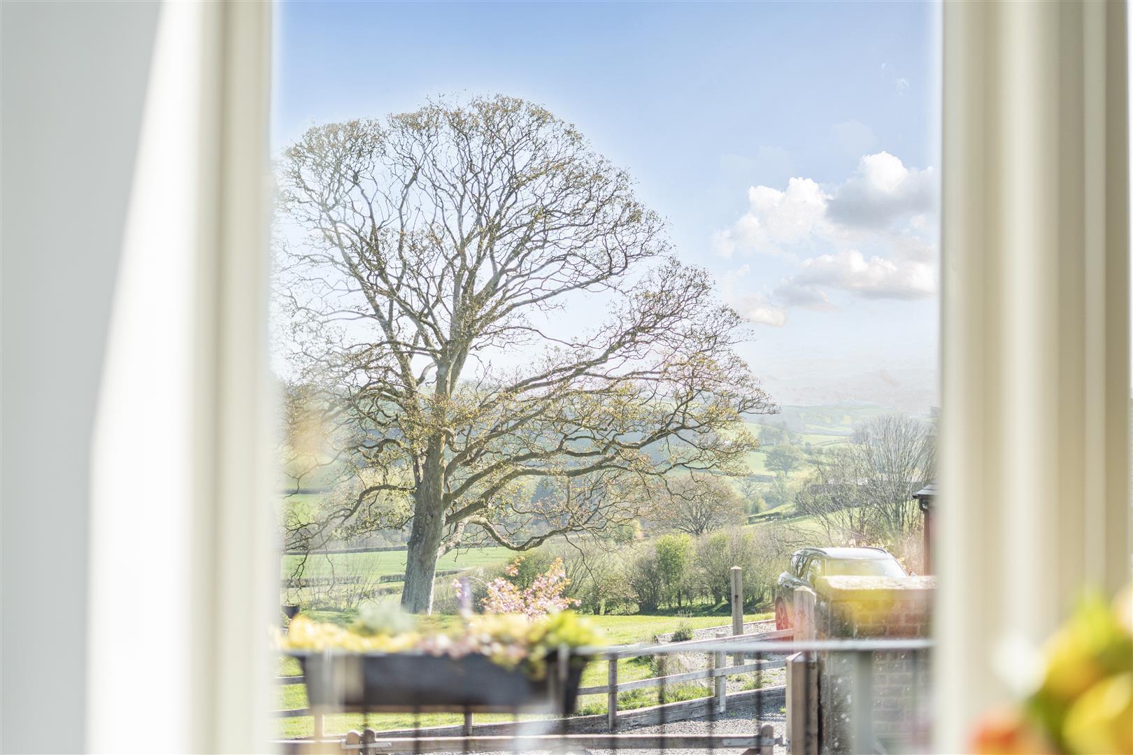 Property Image cdba95db-33ff-4ae3-9b0a-daae89a065f7