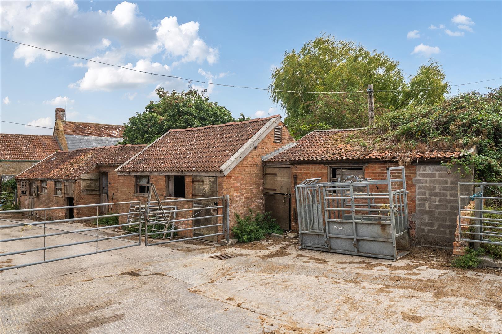 Image 12