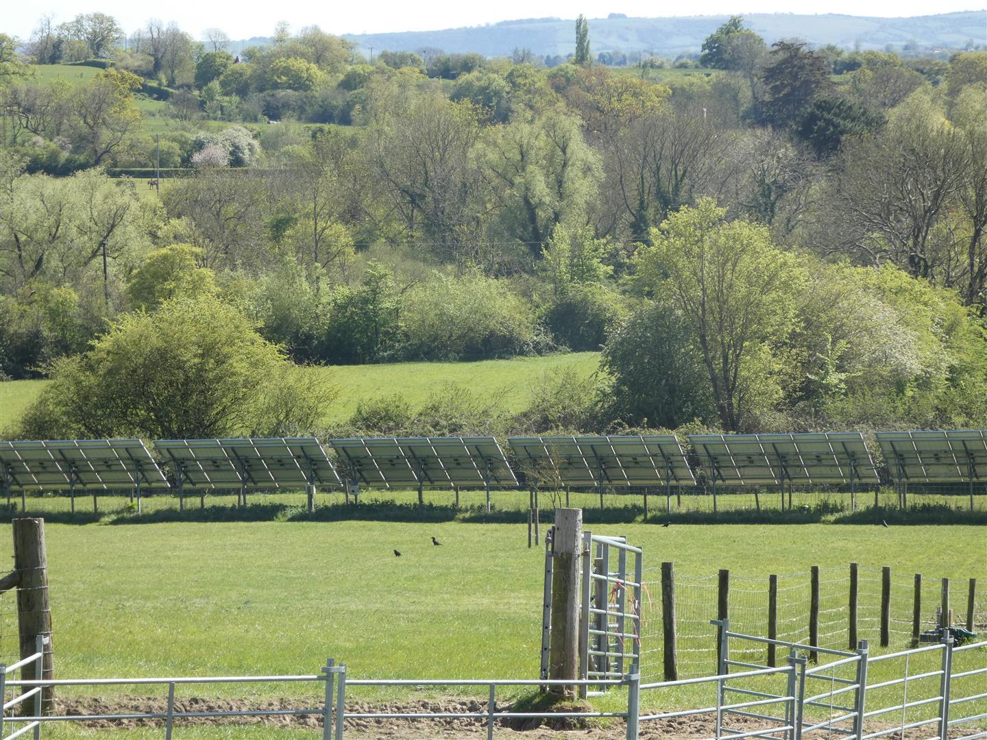 Image 28