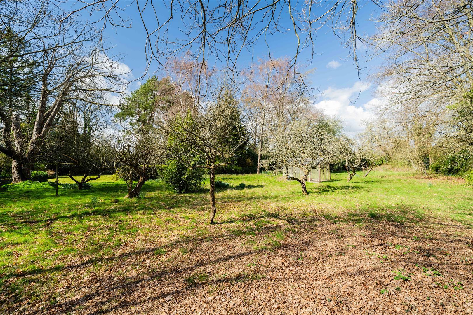 Property Image ce2dd77f-6472-4ae3-8f47-9d99519607a4