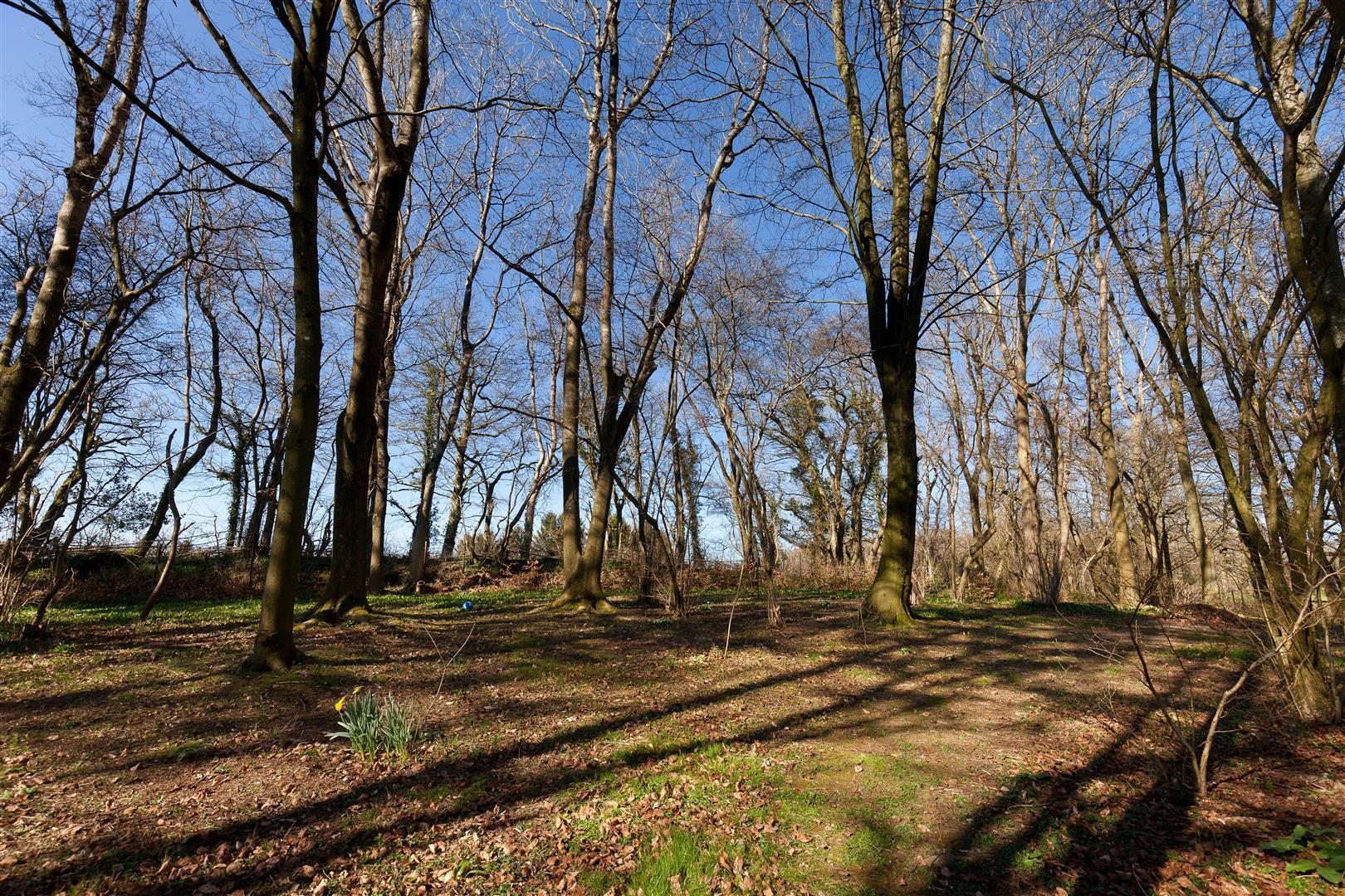 Property Image ce400554-bc33-4ebd-bf67-18ceb0c1a19c