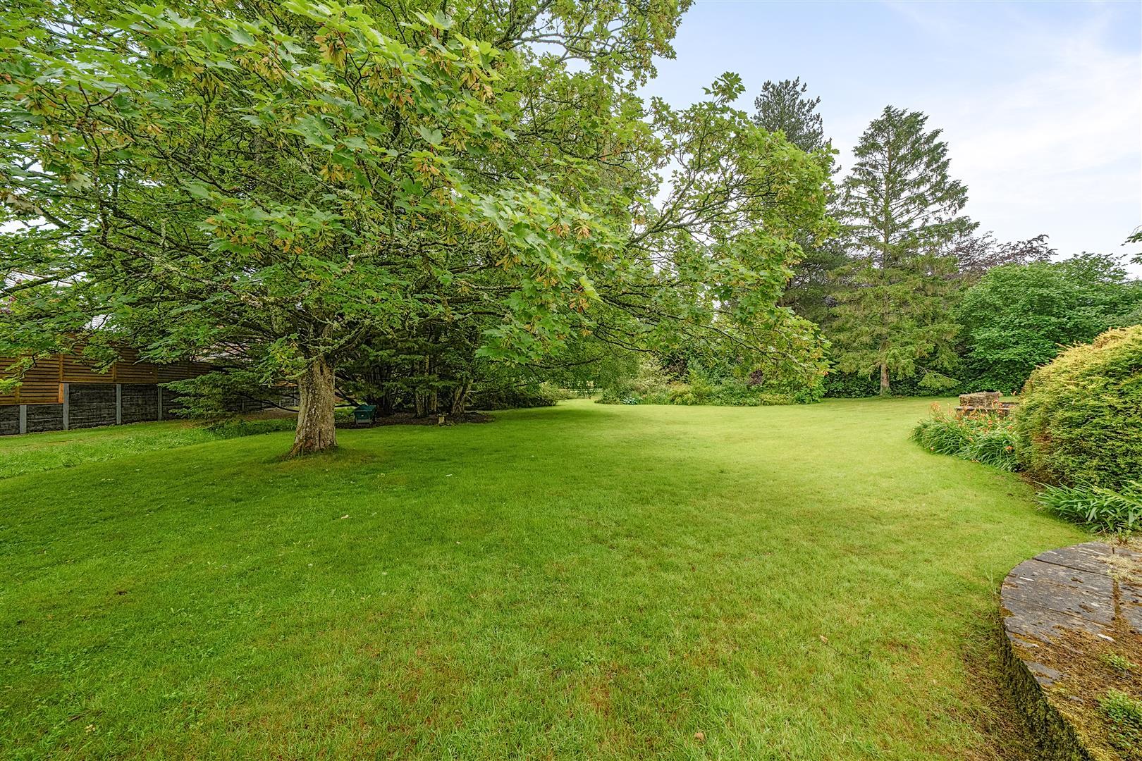 Property Image ce41ccc8-29b8-4faa-acab-e0c6c6a31c3a