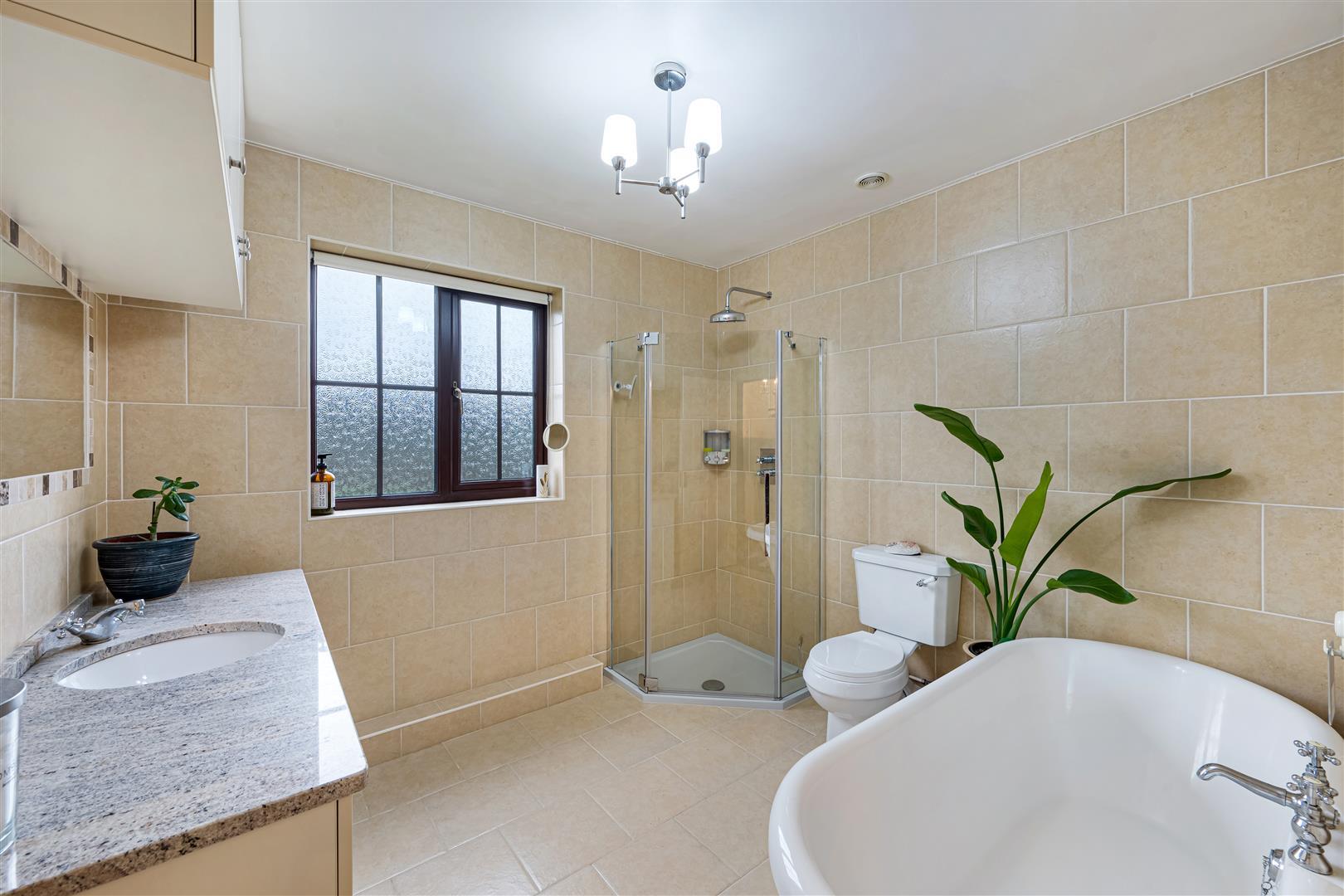Property Image ce551eb4-b37e-48e4-abc6-1877b40aa7f4