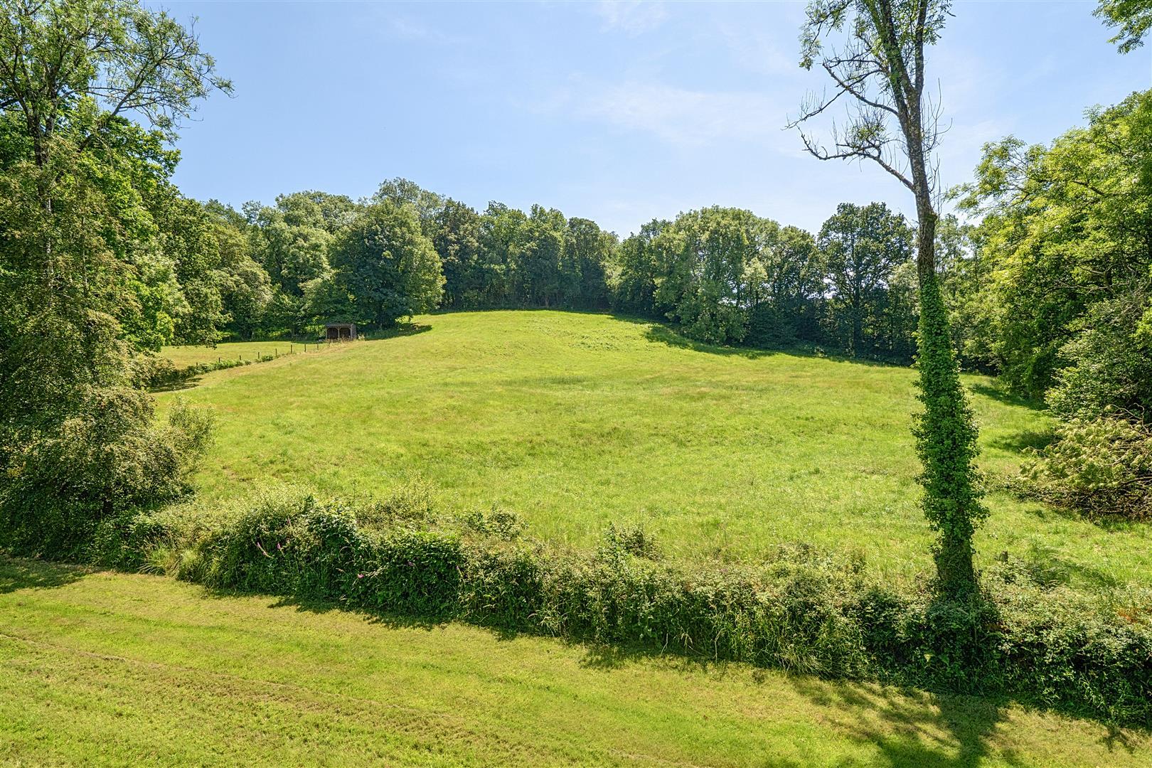 Property Image ce765979-4fbe-404a-9aaf-4018059056e1