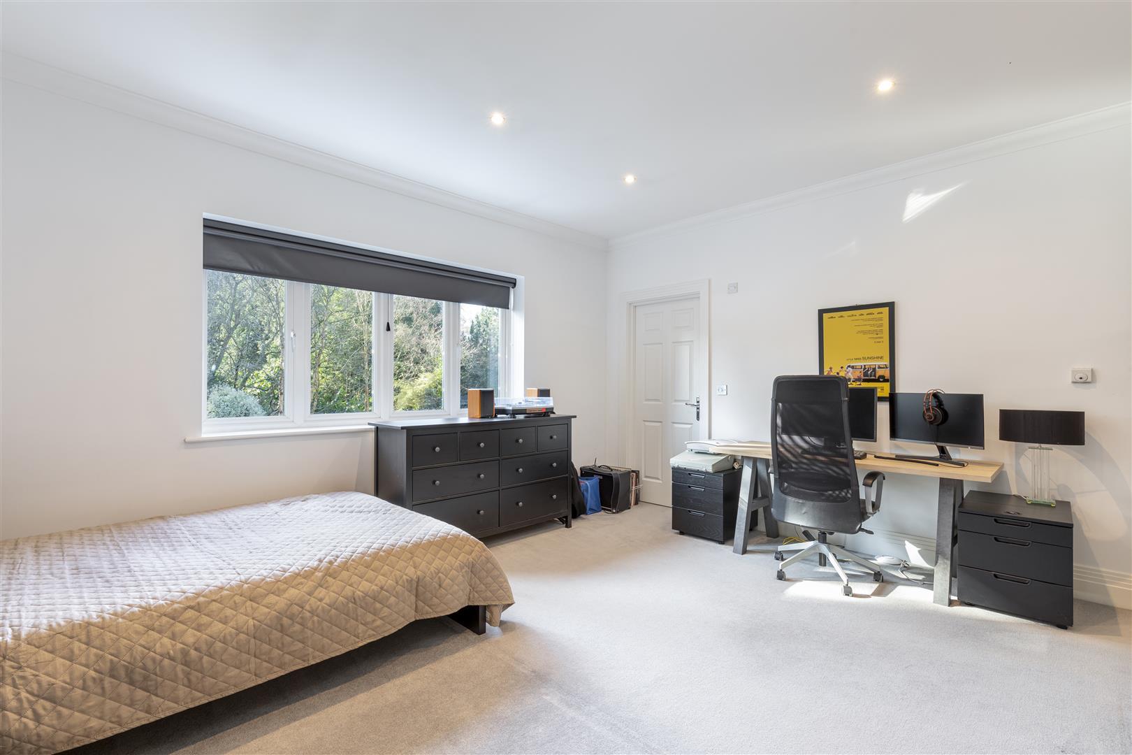Property Image ce8ca2bc-82a9-4b13-b437-5fc2b78b8dde