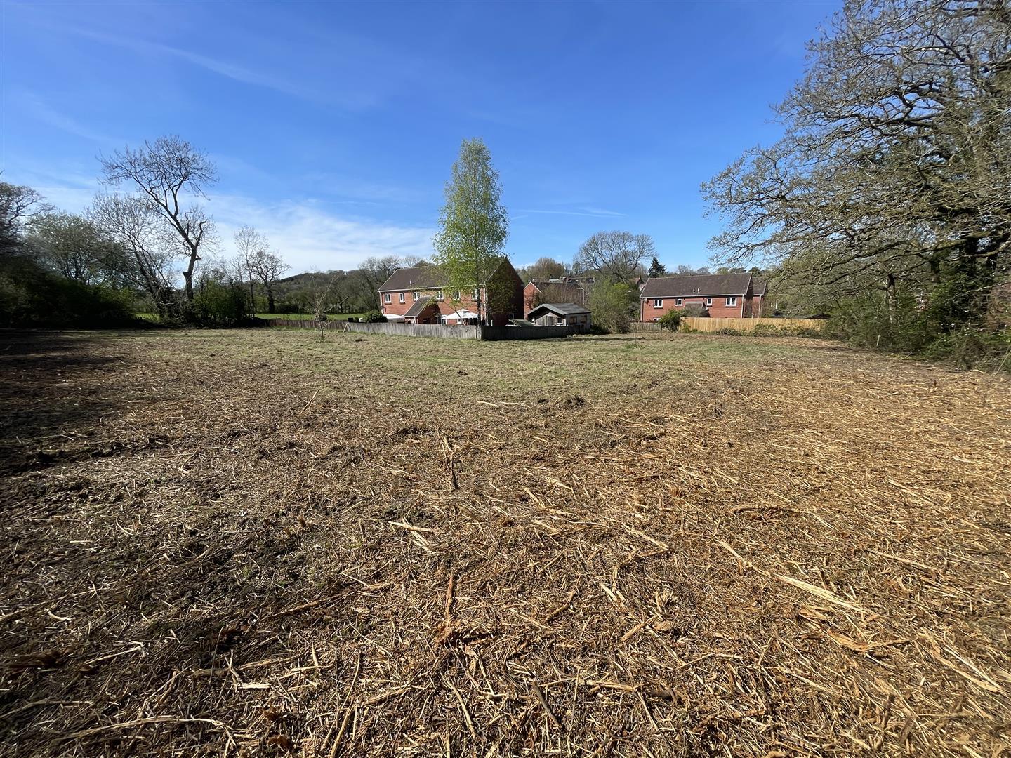 Property Image ceb16159-f1ce-48f0-ab73-3f0e9da25e25