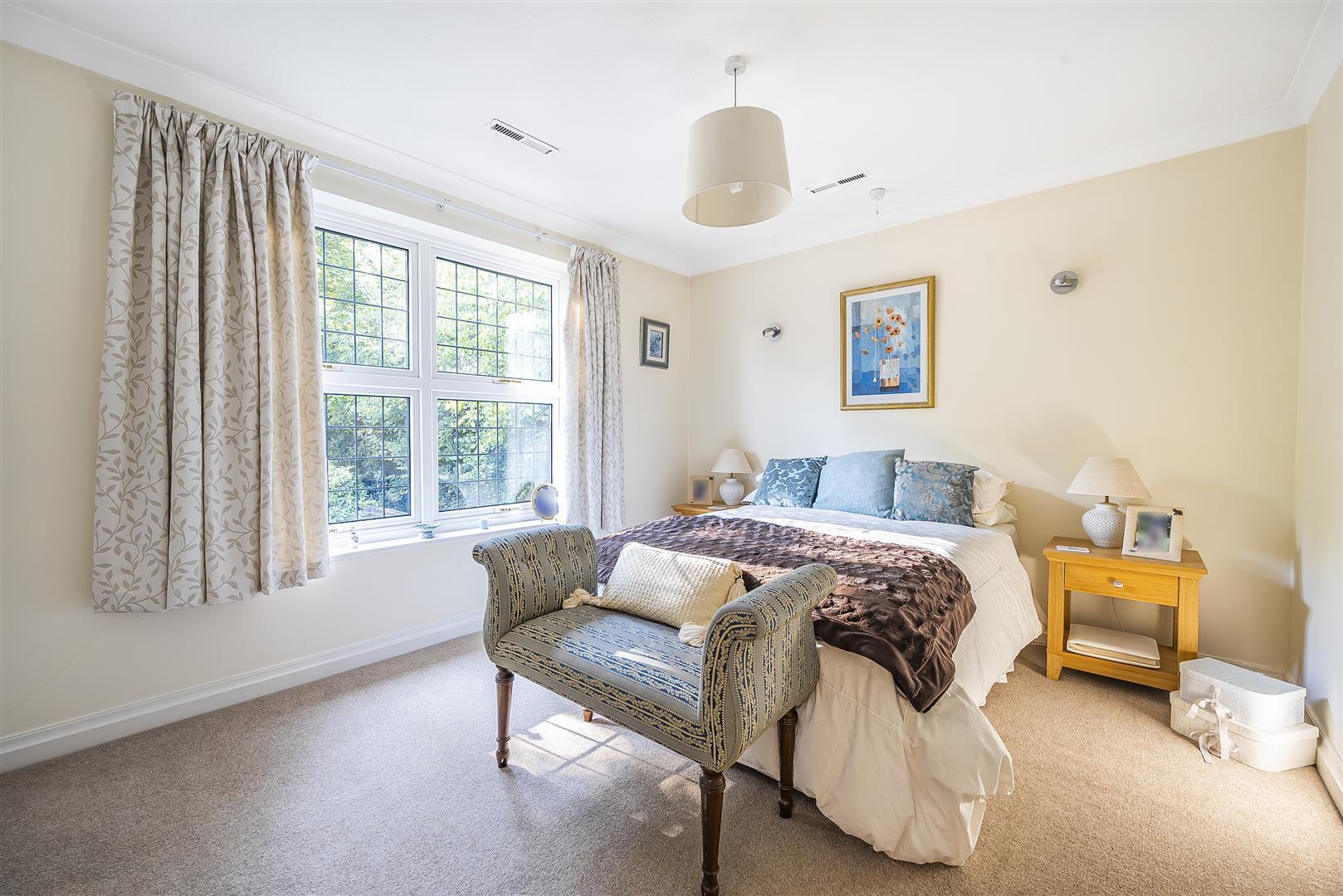 Property Image cf001bd2-e1de-41ea-a3d4-360e2c5cdb12