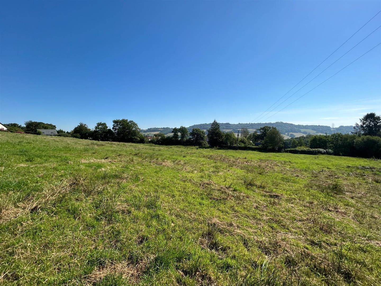 Property Image cf20d3d7-8ca0-404f-a295-c153fc5c6c0c