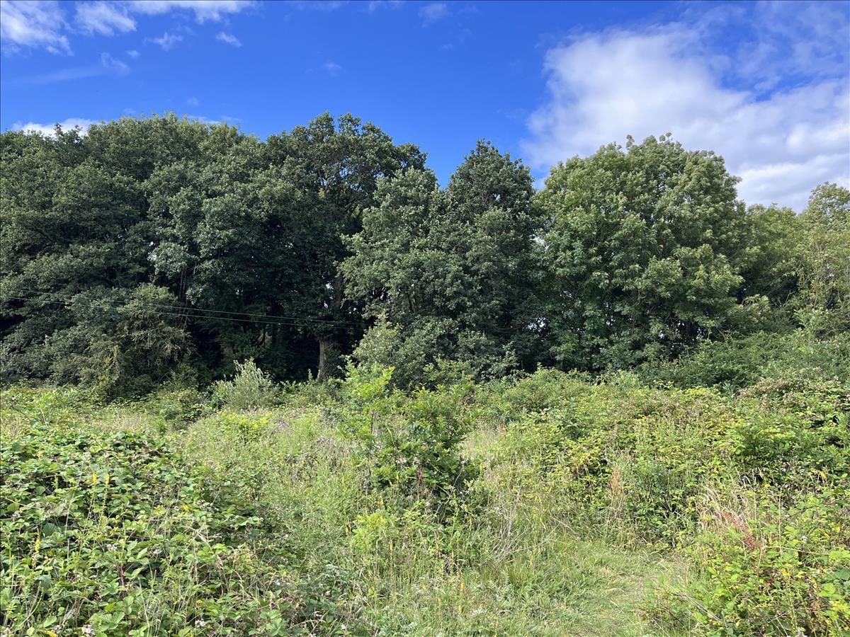 Property Image cf5a3afd-e9be-457e-acc2-79550196f311