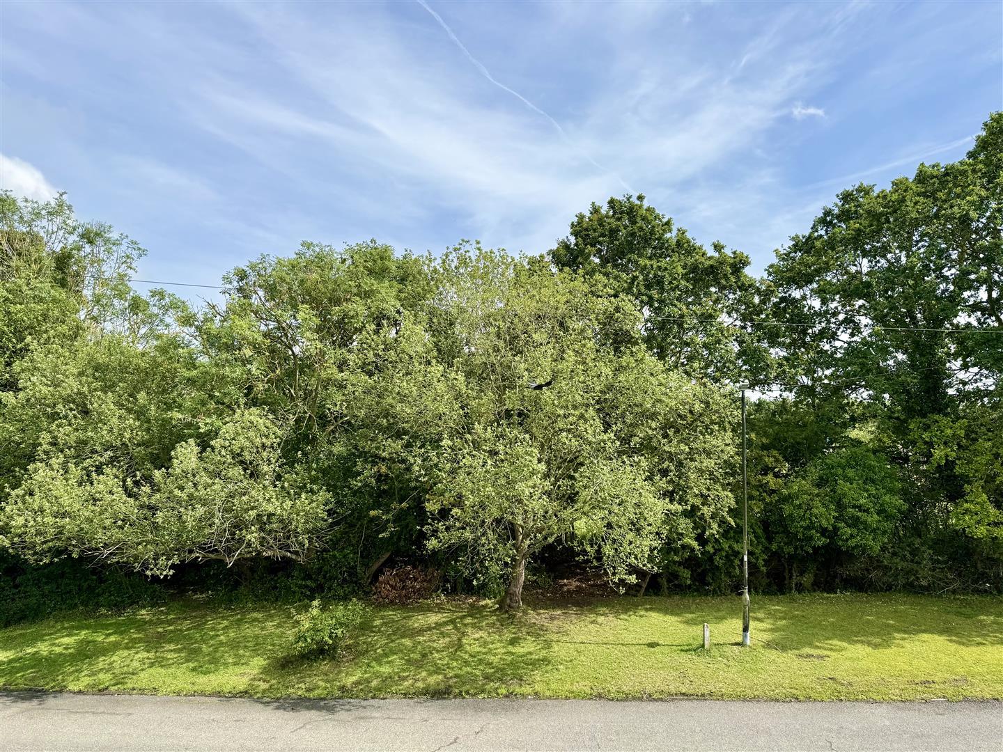 Property Image cf5a491d-5038-44d5-9928-5e0b9398c709