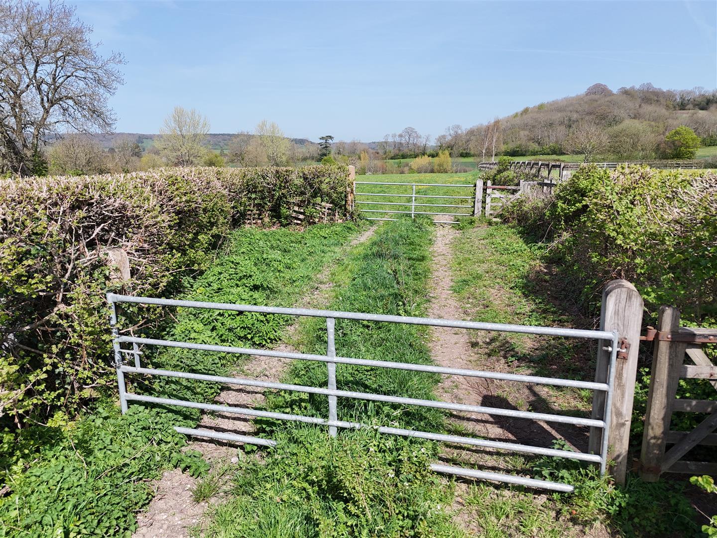 Property Image cf6ad130-472a-40b9-ae97-f98e66aee8d3